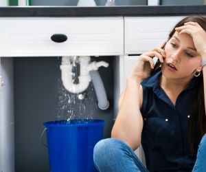 About Emergency plumbing pros Walnut Shade, MO